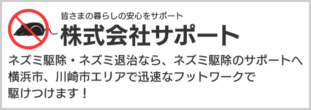 ネズミ駆除・ネズミ退治なら、ネズミ駆除のサポートへ